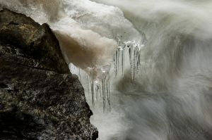 38  AQ049-Bicknell-Brook.jpg